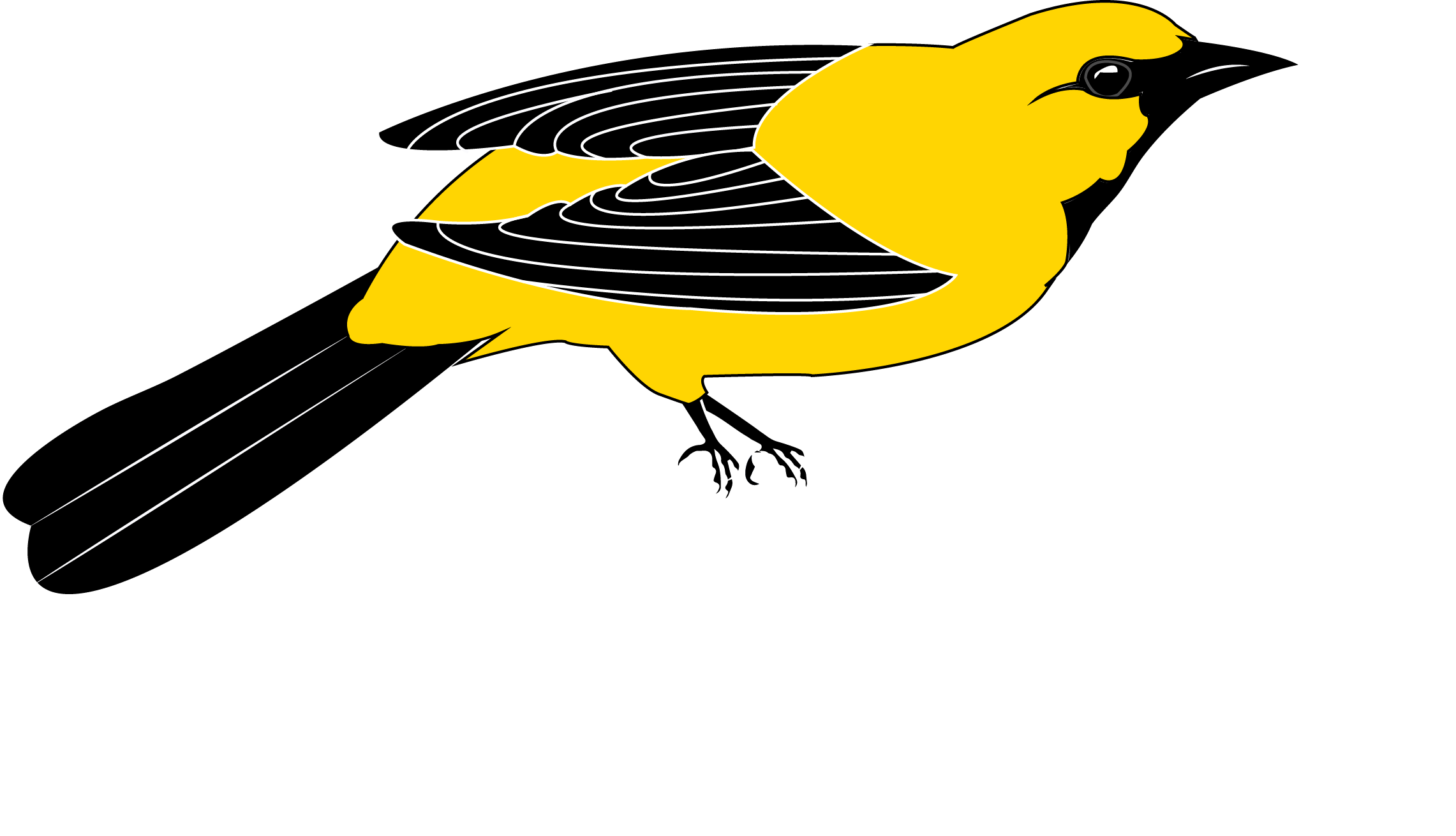La Chiltota T-shirt Print Shop